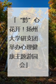 “黔”心花开！扬州大学研支团举办心理健康主题游园会