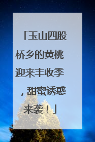 玉山四股桥乡的黄桃迎来丰收季，甜蜜诱惑来袭！