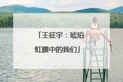 王征宇：琥珀虹膜中的我们