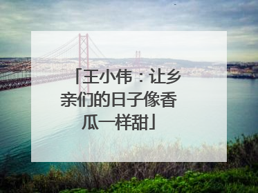 王小伟：让乡亲们的日子像香瓜一样甜