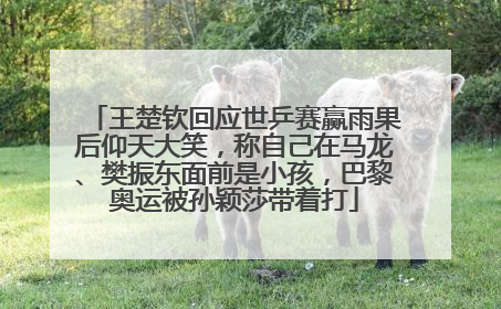 王楚钦回应世乒赛赢雨果后仰天大笑，称自己在马龙、樊振东面前是小孩，巴黎奥运被孙颖莎带着打