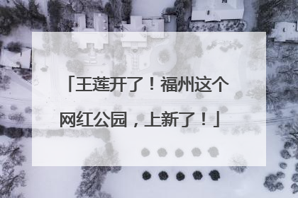 王莲开了！福州这个网红公园，上新了！