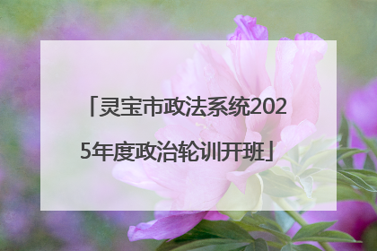 灵宝市政法系统2025年度政治轮训开班