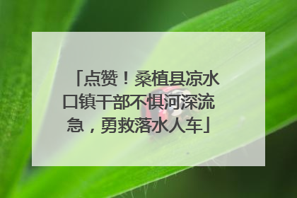 点赞！桑植县凉水口镇干部不惧河深流急，勇救落水人车