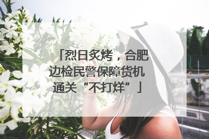 烈日炙烤，合肥边检民警保障货机通关“不打烊”