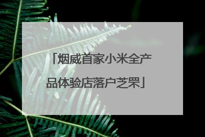 烟威首家小米全产品体验店落户芝罘