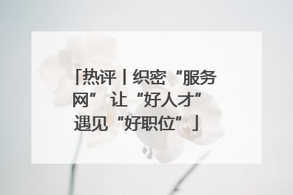 热评丨织密“服务网” 让“好人才”遇见“好职位”