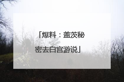 爆料：盖茨秘密去白宫游说