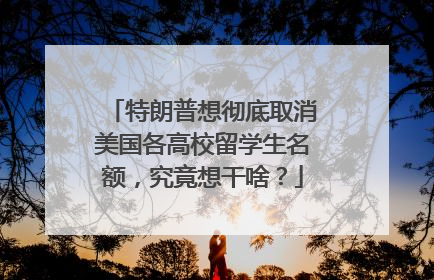 特朗普想彻底取消美国各高校留学生名额，究竟想干啥？