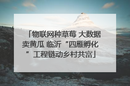 物联网种草莓 大数据卖黄瓜 临沂“四雁孵化”工程链动乡村共富