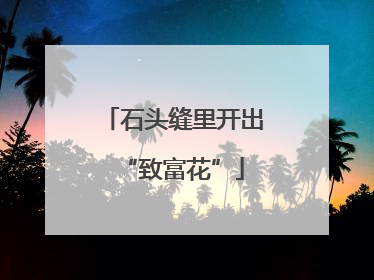 石头缝里开出“致富花”