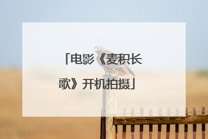 电影《麦积长歌》开机拍摄