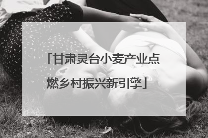 甘肃灵台小麦产业点燃乡村振兴新引擎