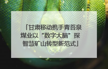 甘肃移动携手青苔泉煤业以“数字大脑”探智慧矿山转型新范式