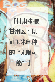 甘肃张掖甘州区：见证玉米制种的“无限可能”