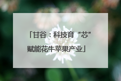 甘谷：科技育“芯”赋能花牛苹果产业