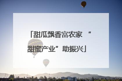 甜瓜飘香富农家 “甜蜜产业”助振兴