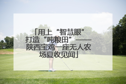 用上“智慧眼” 打造“吨粮田”——陕西宝鸡一座无人农场夏收见闻