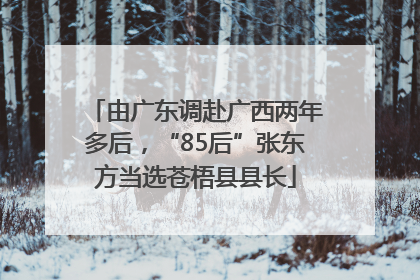 由广东调赴广西两年多后，“85后”张东方当选苍梧县县长