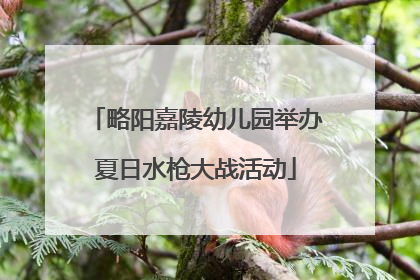 略阳嘉陵幼儿园举办夏日水枪大战活动