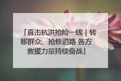 直击抗洪抢险一线｜转移群众、抢修道路 各方救援力量持续奋战