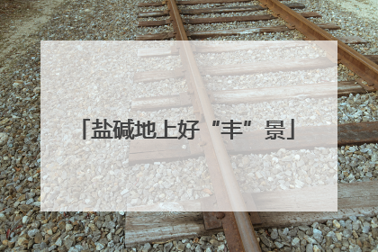 盐碱地上好“丰”景