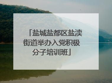 盐城盐都区盐渎街道举办入党积极分子培训班