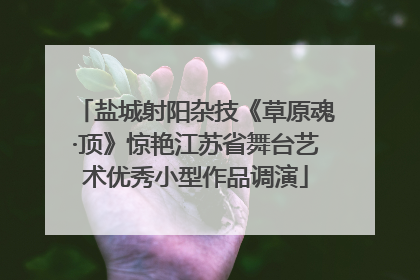 盐城射阳杂技《草原魂·顶》惊艳江苏省舞台艺术优秀小型作品调演