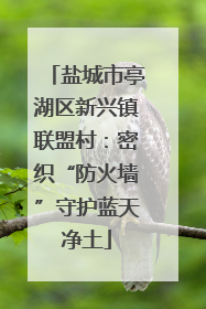 盐城市亭湖区新兴镇联盟村：密织“防火墙”守护蓝天净土