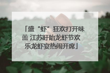 盛“虾”狂欢打开味蕾 江苏盱眙龙虾节欢乐龙虾宴热闹开席