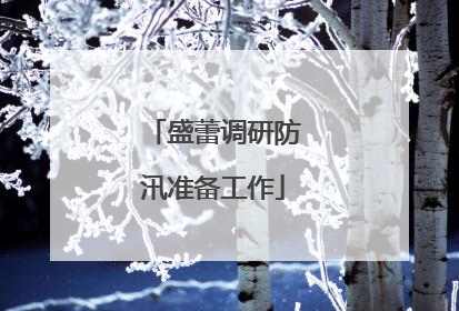 盛蕾调研防汛准备工作