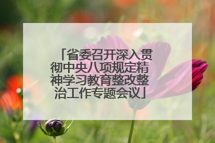 省委召开深入贯彻中央八项规定精神学习教育整改整治工作专题会议