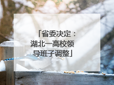 省委决定：湖北一高校领导班子调整