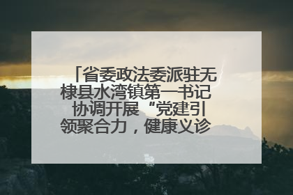 省委政法委派驻无棣县水湾镇第一书记 协调开展“党建引领聚合力，健康义诊惠乡亲”义诊活动