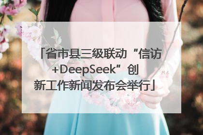 省市县三级联动“信访+DeepSeek”创新工作新闻发布会举行