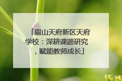 眉山天府新区天府学校：深耕课题研究，赋能教师成长