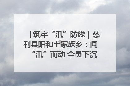 筑牢“汛”防线｜慈利县阳和土家族乡：闻“汛”而动 全员下沉筑牢防汛“安全堤”