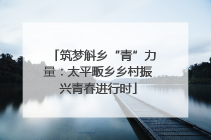 筑梦斛乡“青”力量：太平畈乡乡村振兴青春进行时