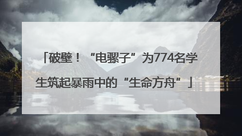 破壁！“电骡子”为774名学生筑起暴雨中的“生命方舟”