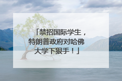 禁招国际学生，特朗普政府对哈佛大学下狠手！