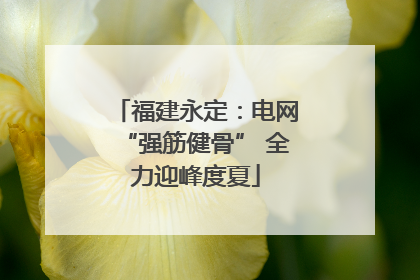 福建永定：电网“强筋健骨” 全力迎峰度夏