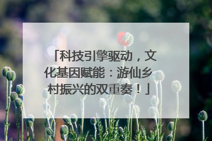 科技引擎驱动，文化基因赋能：游仙乡村振兴的双重奏！
