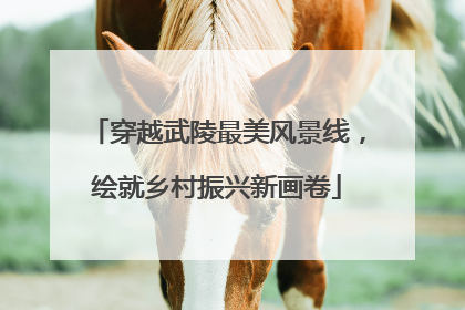 穿越武陵最美风景线，绘就乡村振兴新画卷