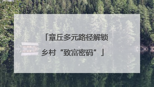 章丘多元路径解锁乡村“致富密码”