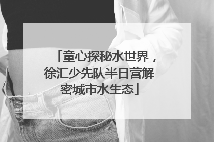 童心探秘水世界，徐汇少先队半日营解密城市水生态