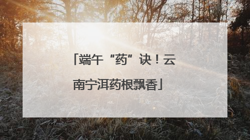 端午“药”诀！云南宁洱药根飘香