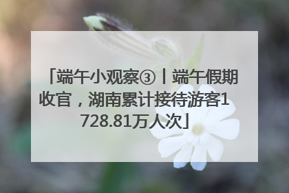 端午小观察③丨端午假期收官，湖南累计接待游客1728.81万人次