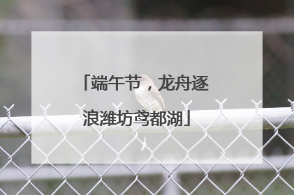 端午节，龙舟逐浪潍坊鸢都湖