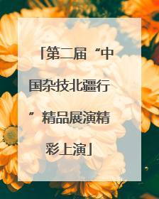 第二届“中国杂技北疆行”精品展演精彩上演