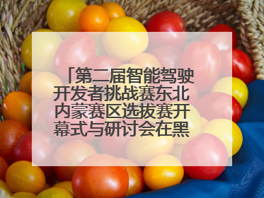 第二届智能驾驶开发者挑战赛东北内蒙赛区选拔赛开幕式与研讨会在黑龙江农业工程职业学院成功举行